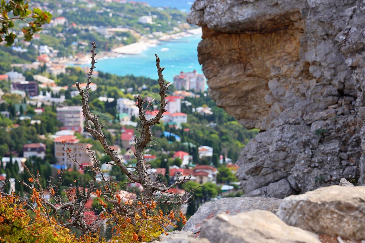 Вид с горы Кошка (Симеиз) Крым - Светлана Тихонина