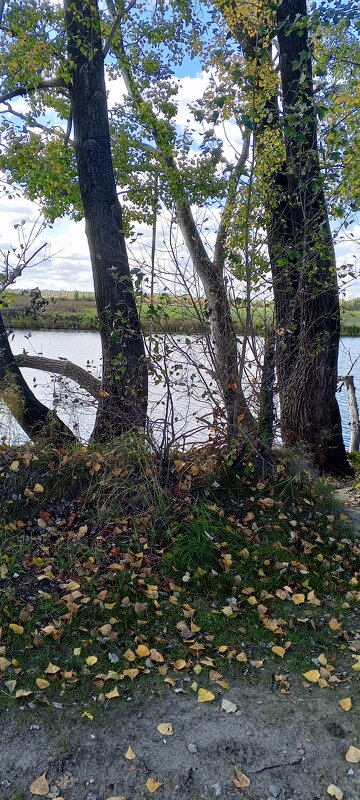 Озеро - Андрей Макурин Озеро - Андрей Макурин