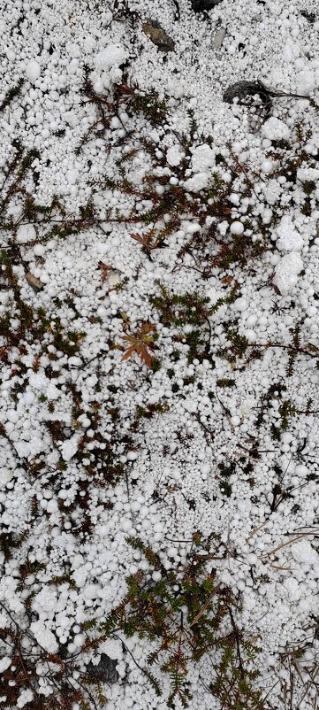 «Пенопластовая фантазия» - Татьяна Чаброва