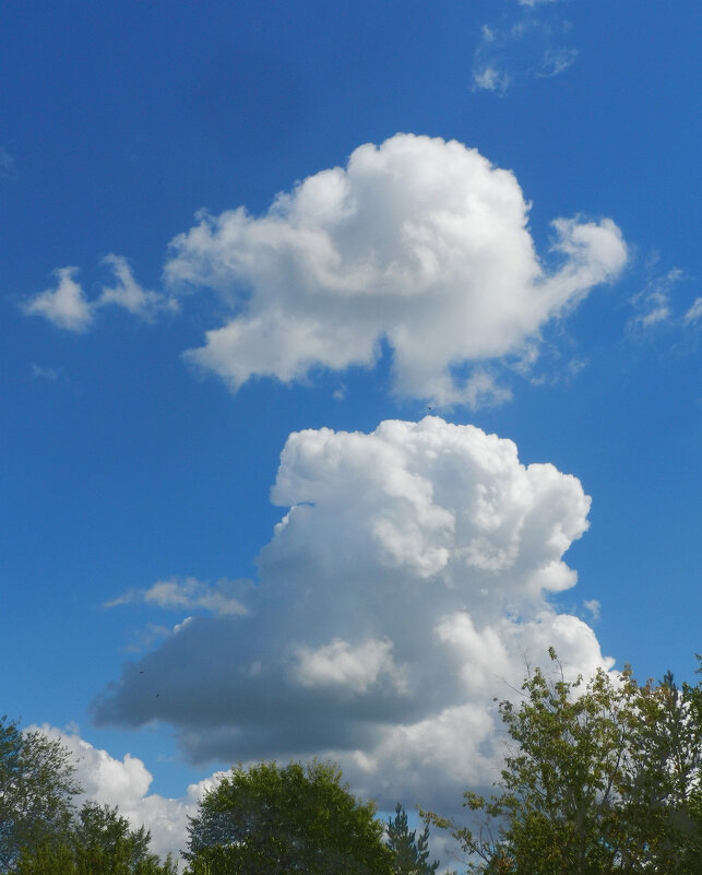 облачные фигуры - Лера 