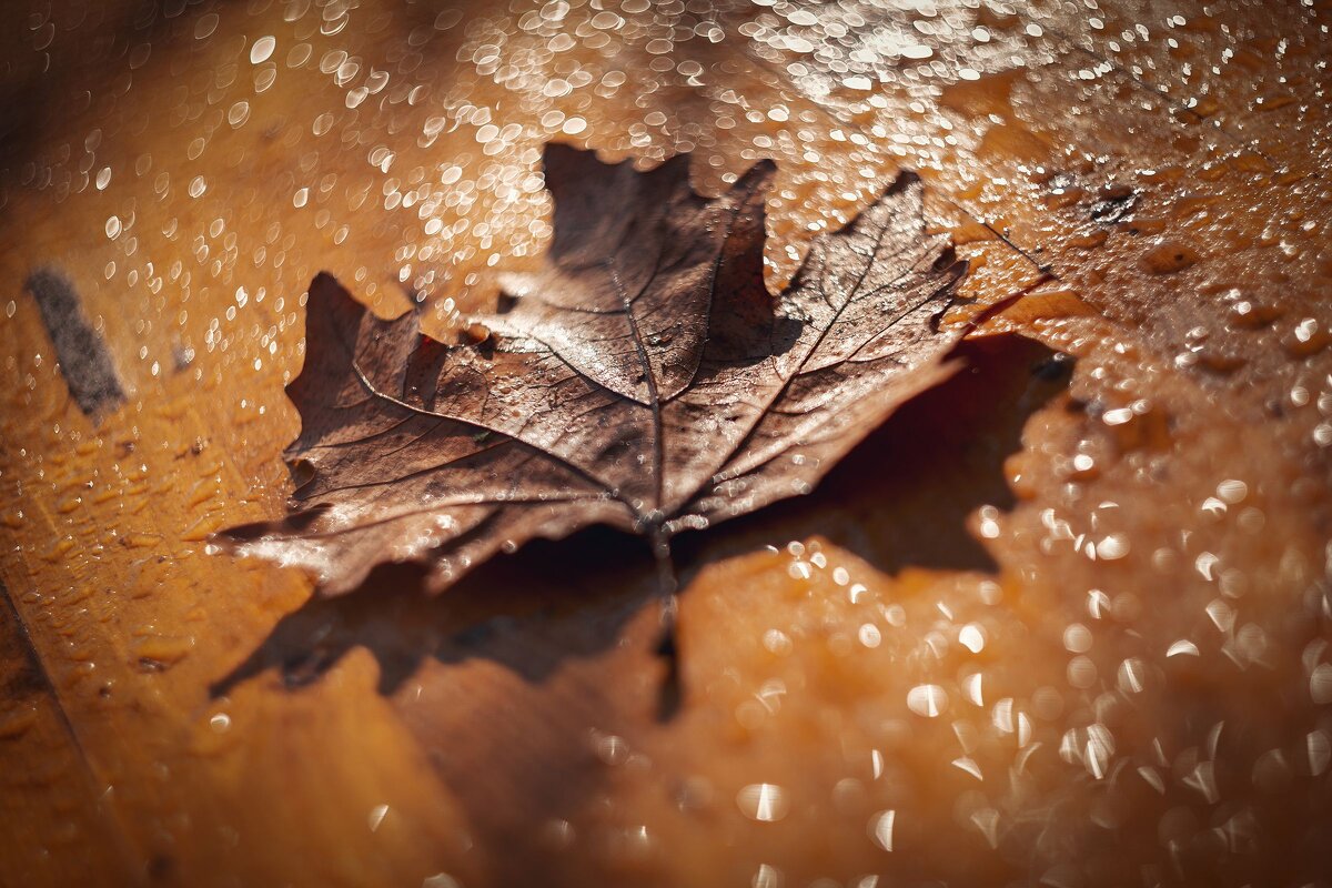Павшие в космос октябрьских рос. - Анатолий Щербак