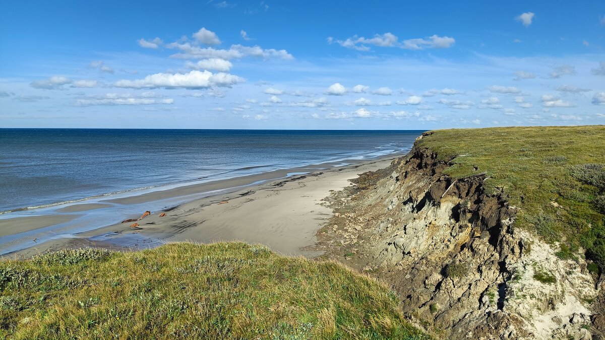 Тундра, море - Александр Ульныров