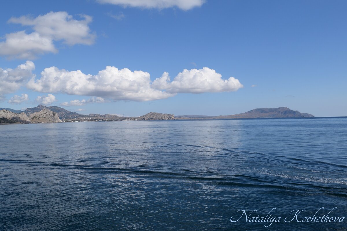 Природа Крыма - Amazing Cosmea