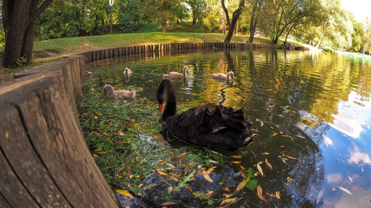 ***** - юрий поляков