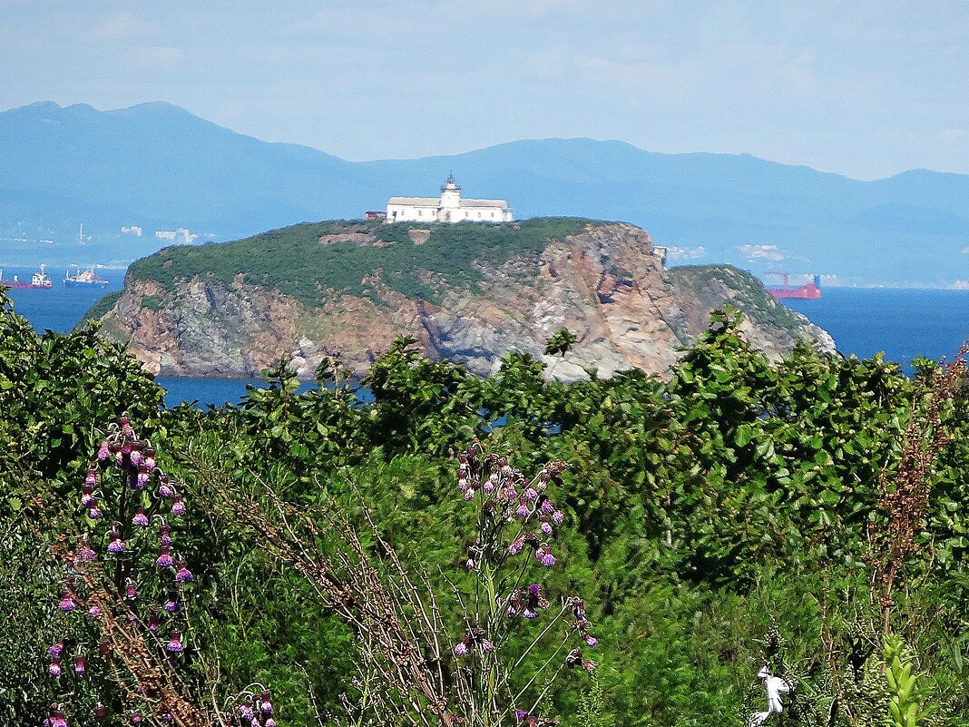 Маяк на острове Скрыплёва - Лидия Бусурина