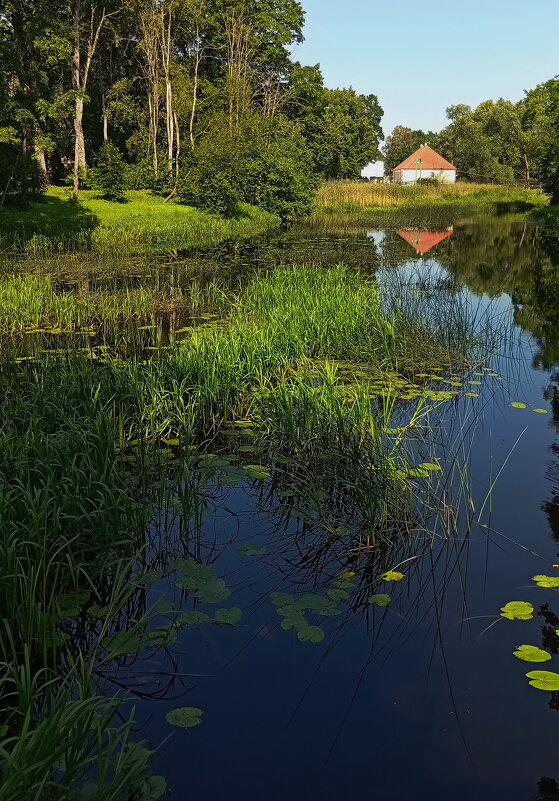 однажды в августе - Татьян@ Ивановна