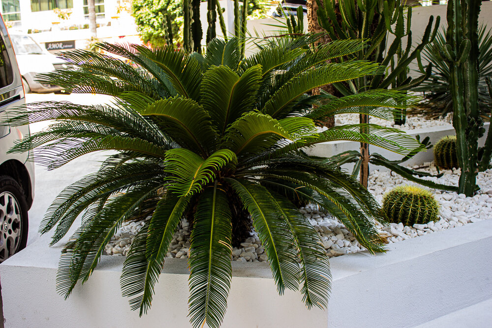 Около отеля - Светлана SvetNika17 Около отеля - Светлана SvetNika17