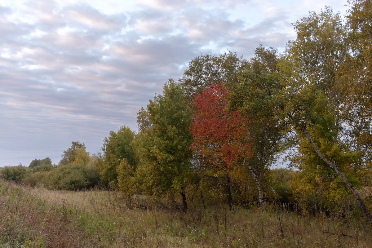ВОТ И ЛЕТО ПРОШЛО... - Володька Завитушкин