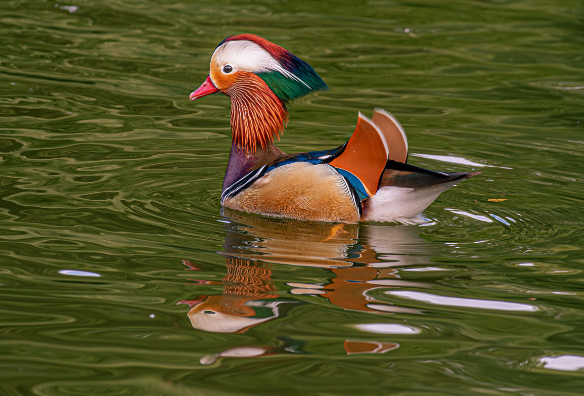 Мандаринка - Михаил Измайлов