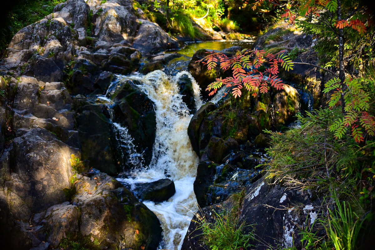 На память - Grishkov S.M.