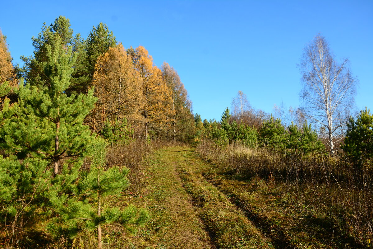Осенний пейзаж. - Михаил Колосов Осенний пейзаж. - Михаил Колосов