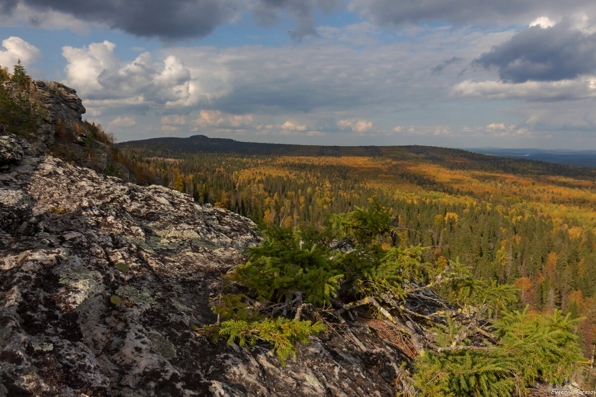 Феерия осени. Коноваловский увал. - Евгений Тарасов Феерия осени. Коноваловский увал. - Евгений Тарасов