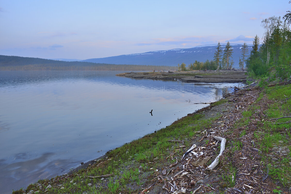 *** - Александр Хаецкий