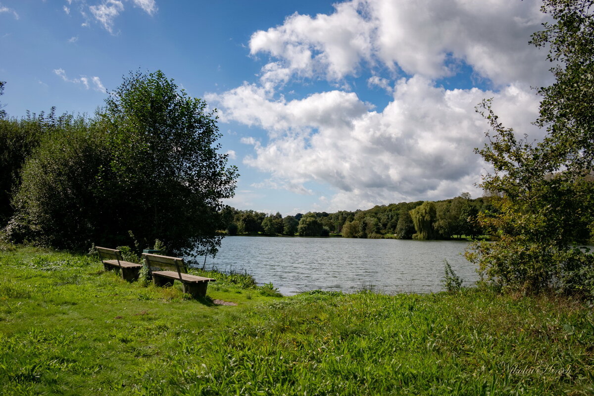 Стояли две скамеечки... - Николай Гирш Стояли две скамеечки... - Николай Гирш