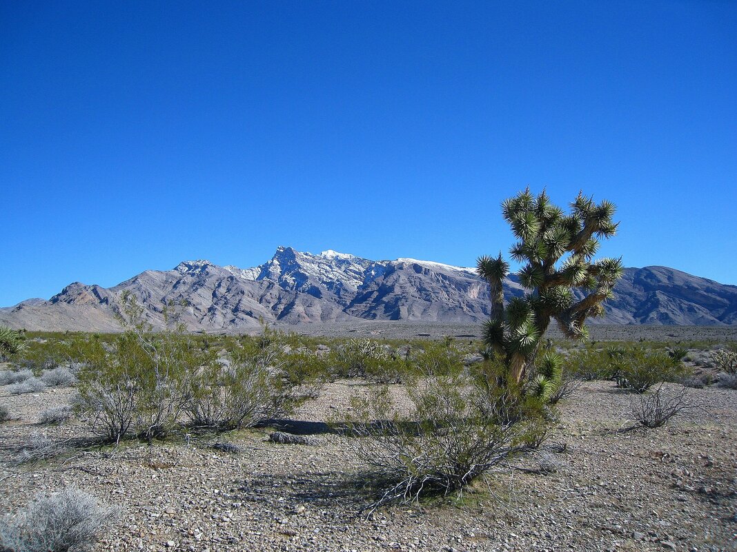 Кусочек американского штата Невада. - unix (Илья Утропов)