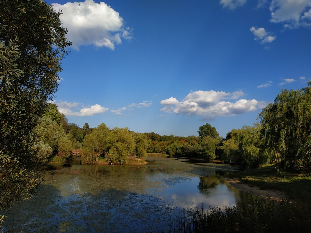 Может, последние тёплые деньки осени - Андрей Лукьянов