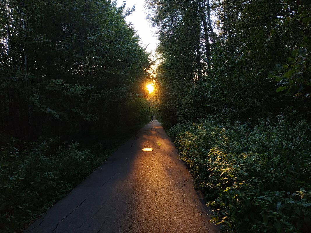 Солнце садилось, или Мой путь светел - Андрей Лукьянов