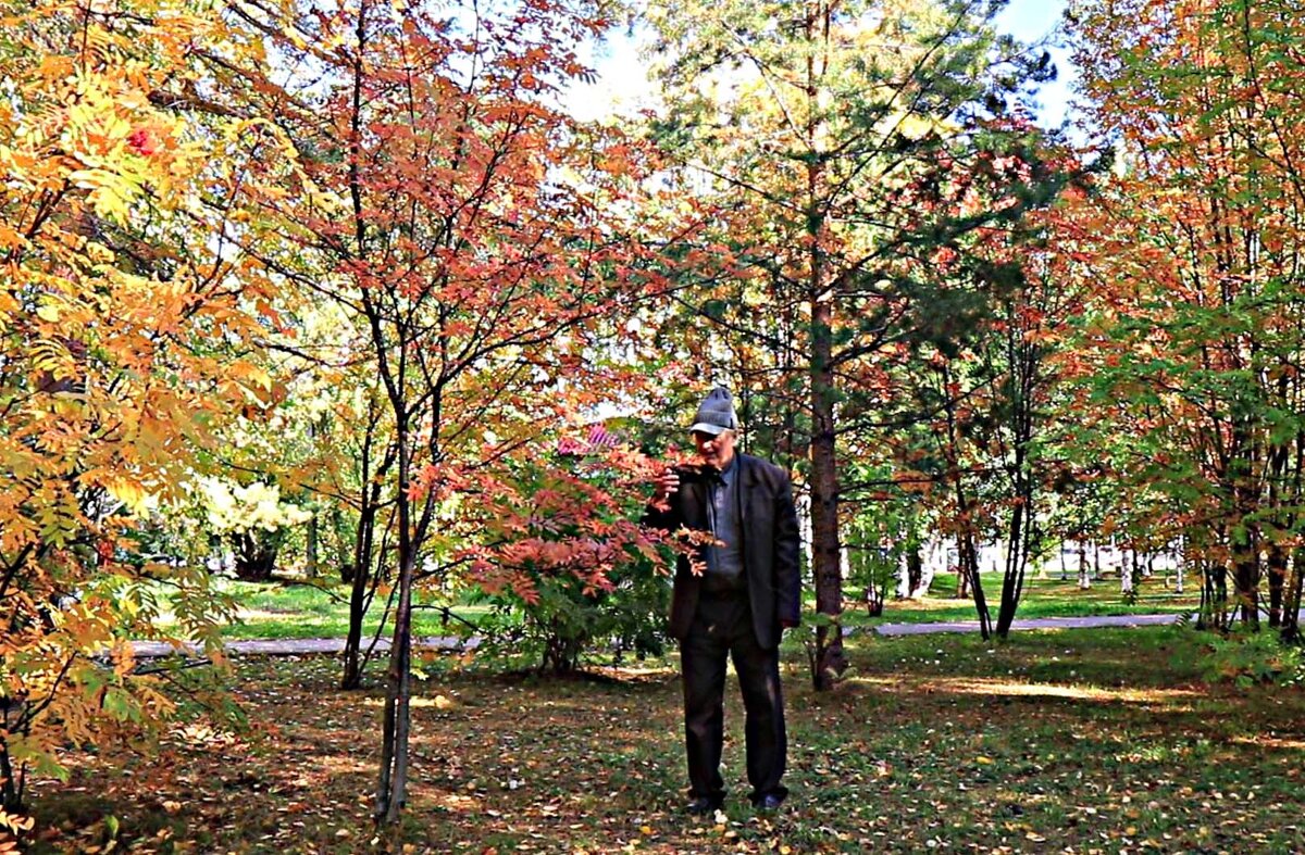 Сентябрь...Утро с рябинами! - Владимир 