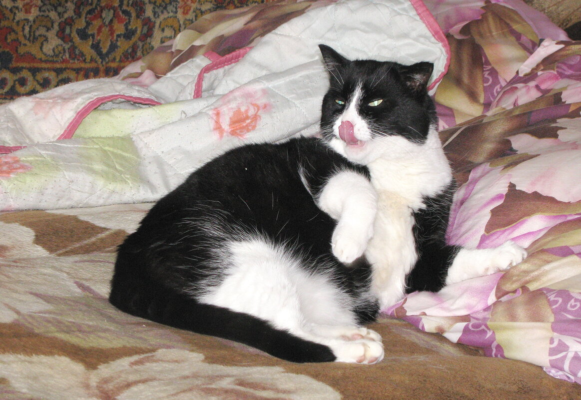 Я умываюсь - Людмила Смородинская