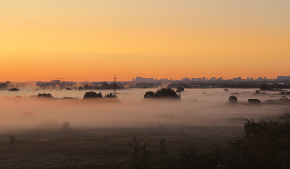 ,,,,,,,,,, - Вадим Виловатый