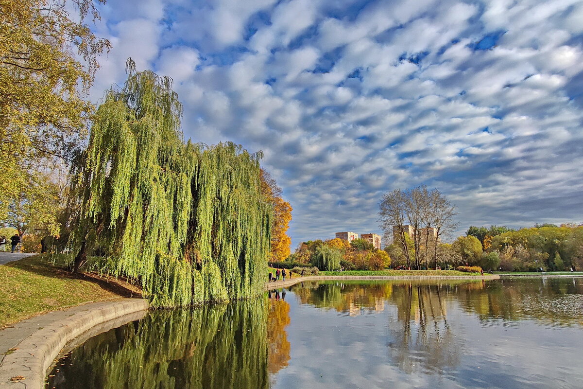 Парк - Александр Сивкин Парк - Александр Сивкин