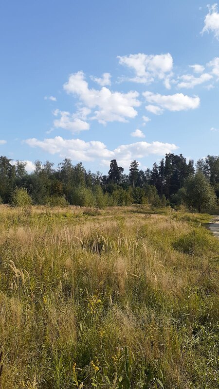 Сентябрь - Елена Семигина