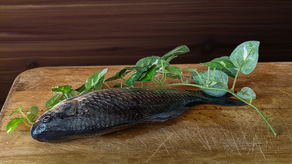 Сазан - Aleksey Afonin