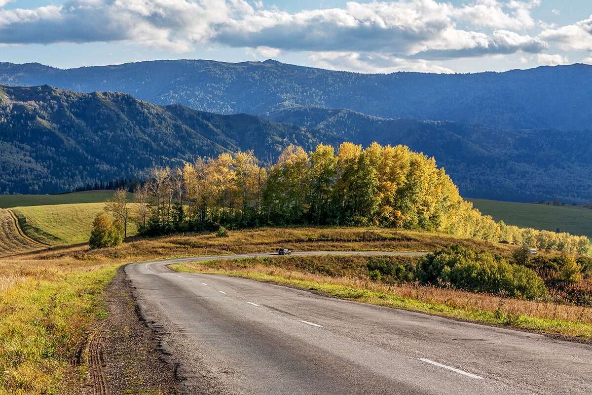 Риддер - Дмитрий 