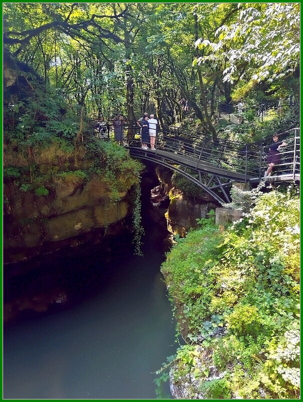 Грузия.  Мартвильский природный парк. - Ольга Довженко