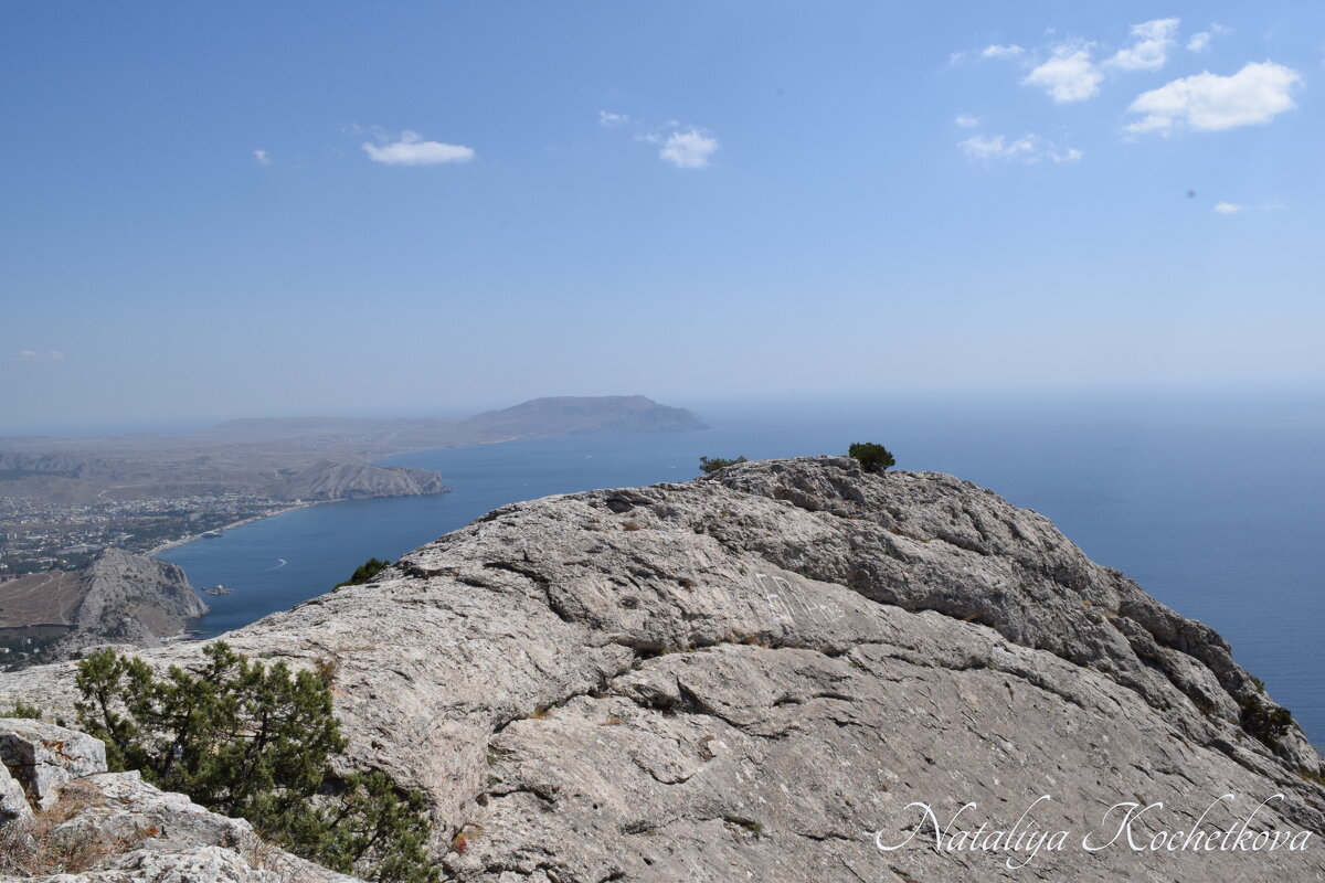 Природа Крыма - Amazing Cosmea