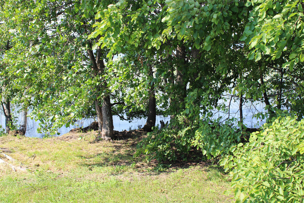 *** - Любовь ***