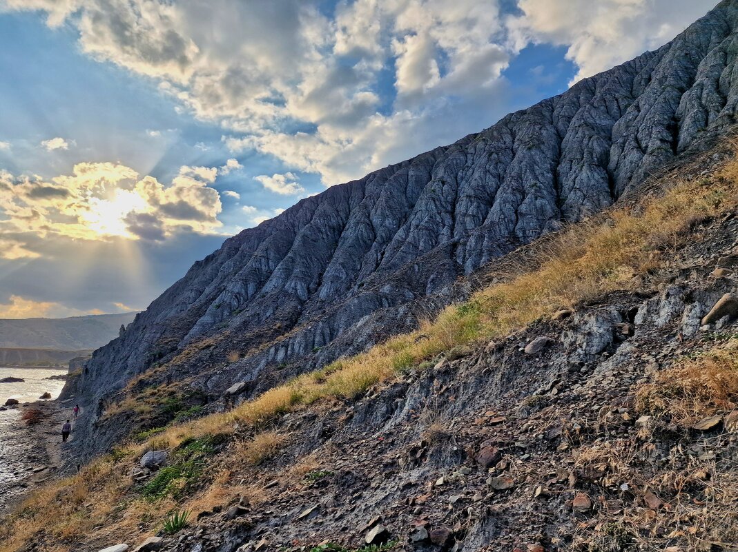 Лисья бухта - Мария Яковлева