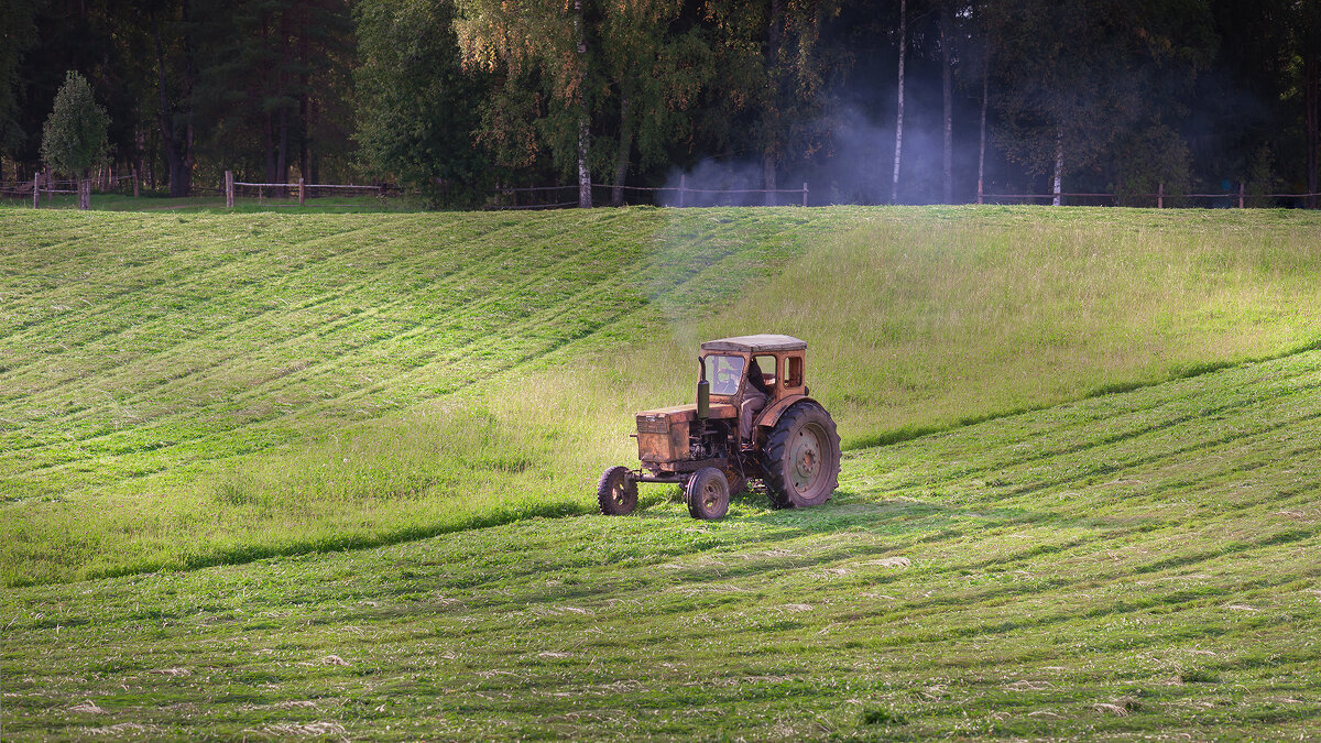Покос трав - Владимир Кириченко  wlad113