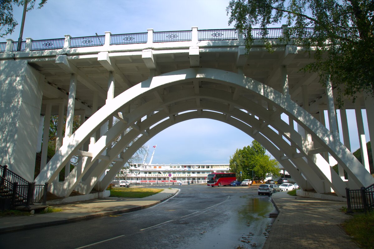 Воздвиженский мост - Танзиля Завьялова