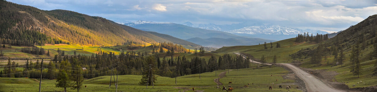 Дорога на Улаган - Grishkov S.M.