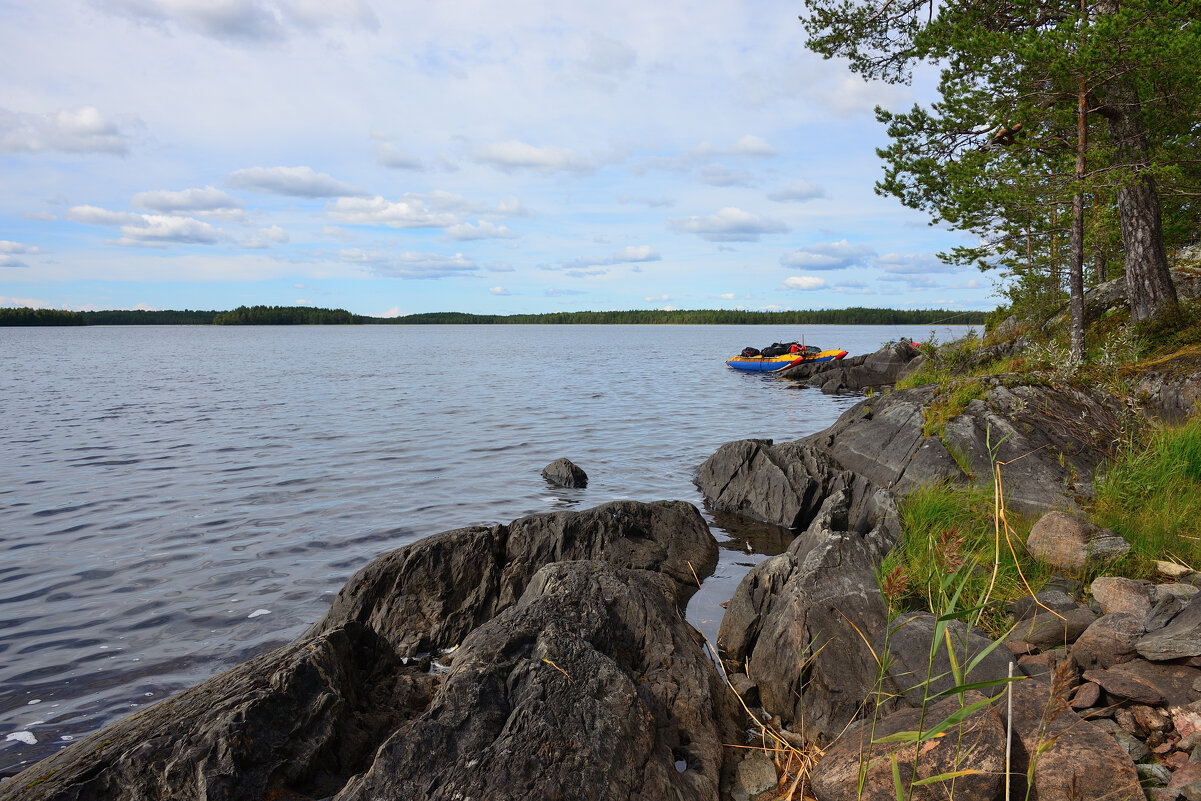 *** - Александр Хаецкий