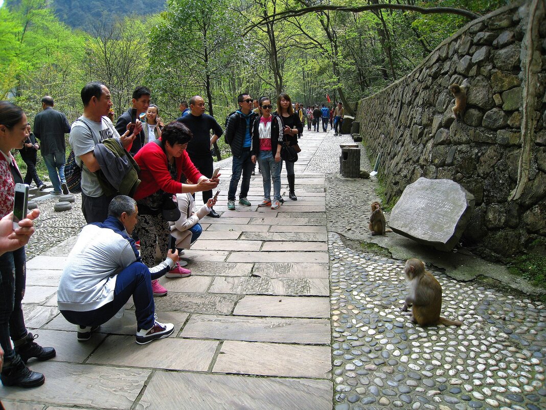 Фотомодель! - unix (Илья Утропов)