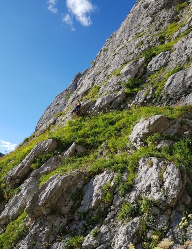 Пшехский водопад - Tata Wolf