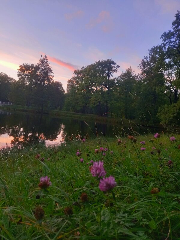 Закат - Сапсан 