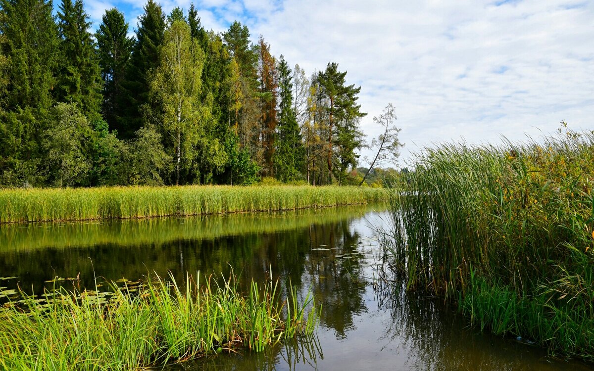 О красоте Смоленской природы. - Милешкин Владимир Алексеевич О красоте Смоленской природы. - Милешкин Владимир Алексеевич