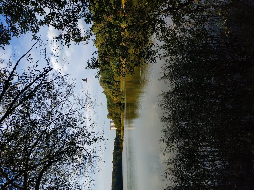 * * * - Андрей Лукьянов