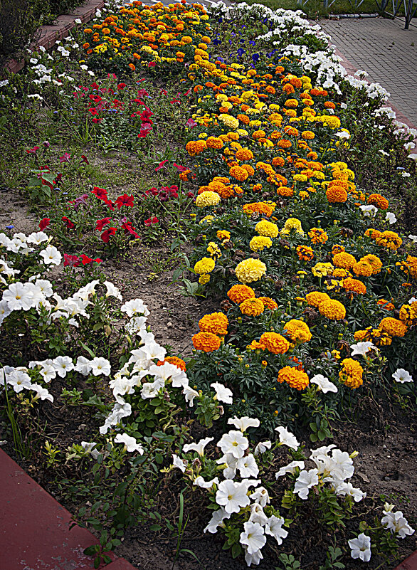 Самые стойкие - Владимир Кроливец Самые стойкие - Владимир Кроливец