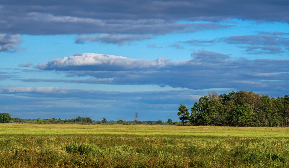 Начало Осени - Игорь Сикорский