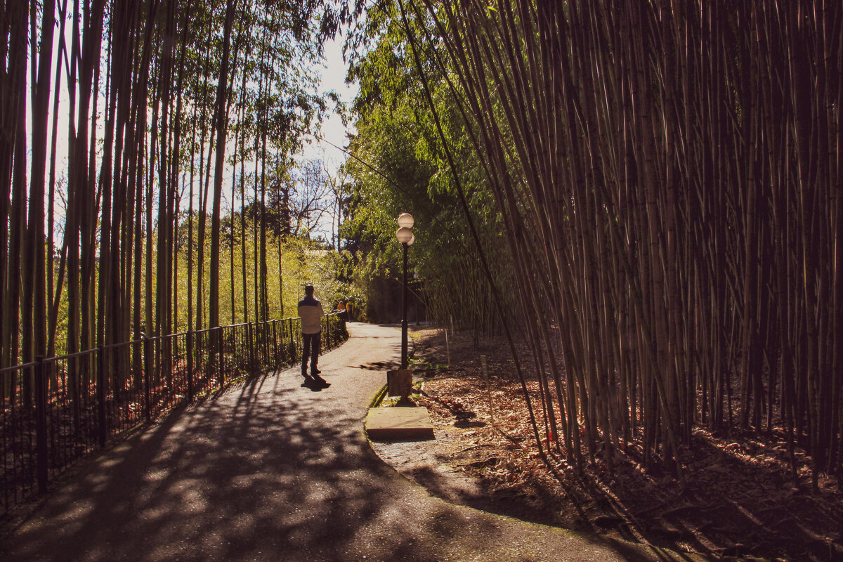 Прогулка в полдень - Татьяна Сергиенко