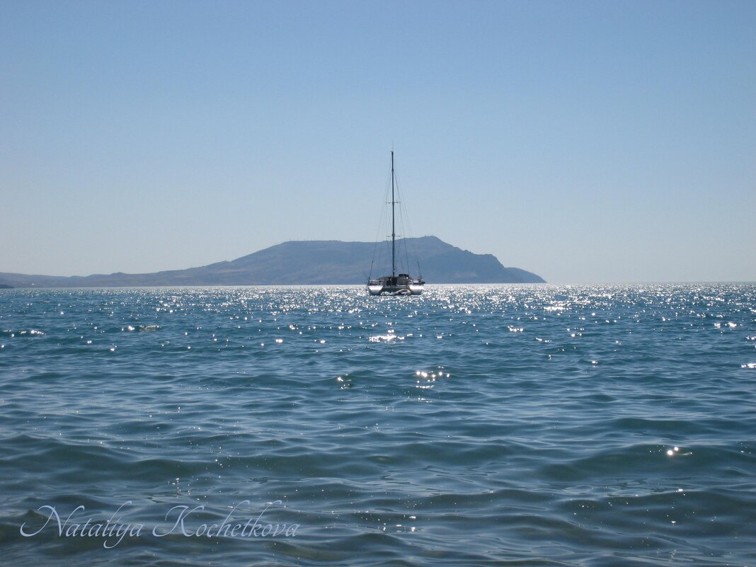 Природа Крыма - Amazing Cosmea Природа Крыма - Amazing Cosmea