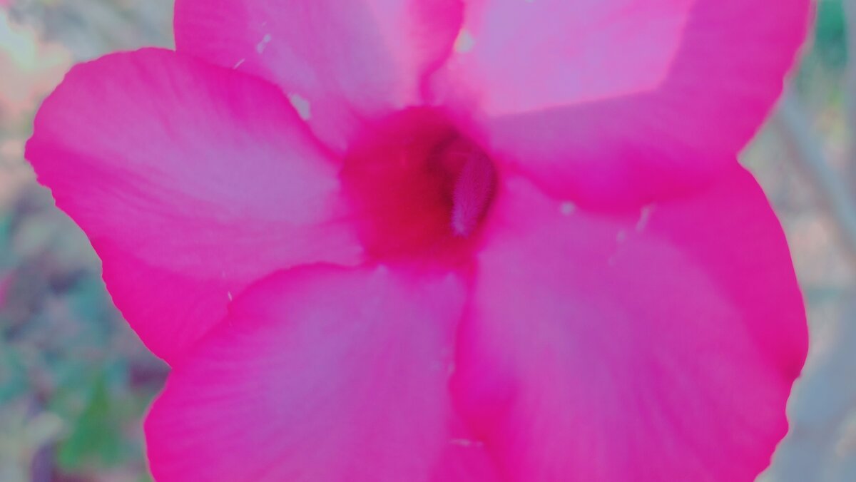 13  ОПЕН (370) - OPEN WAYS ALL