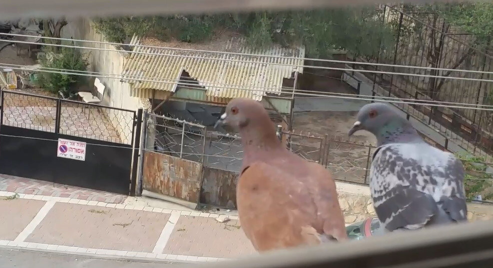 113 (123) - CLOSE WAYS ALL