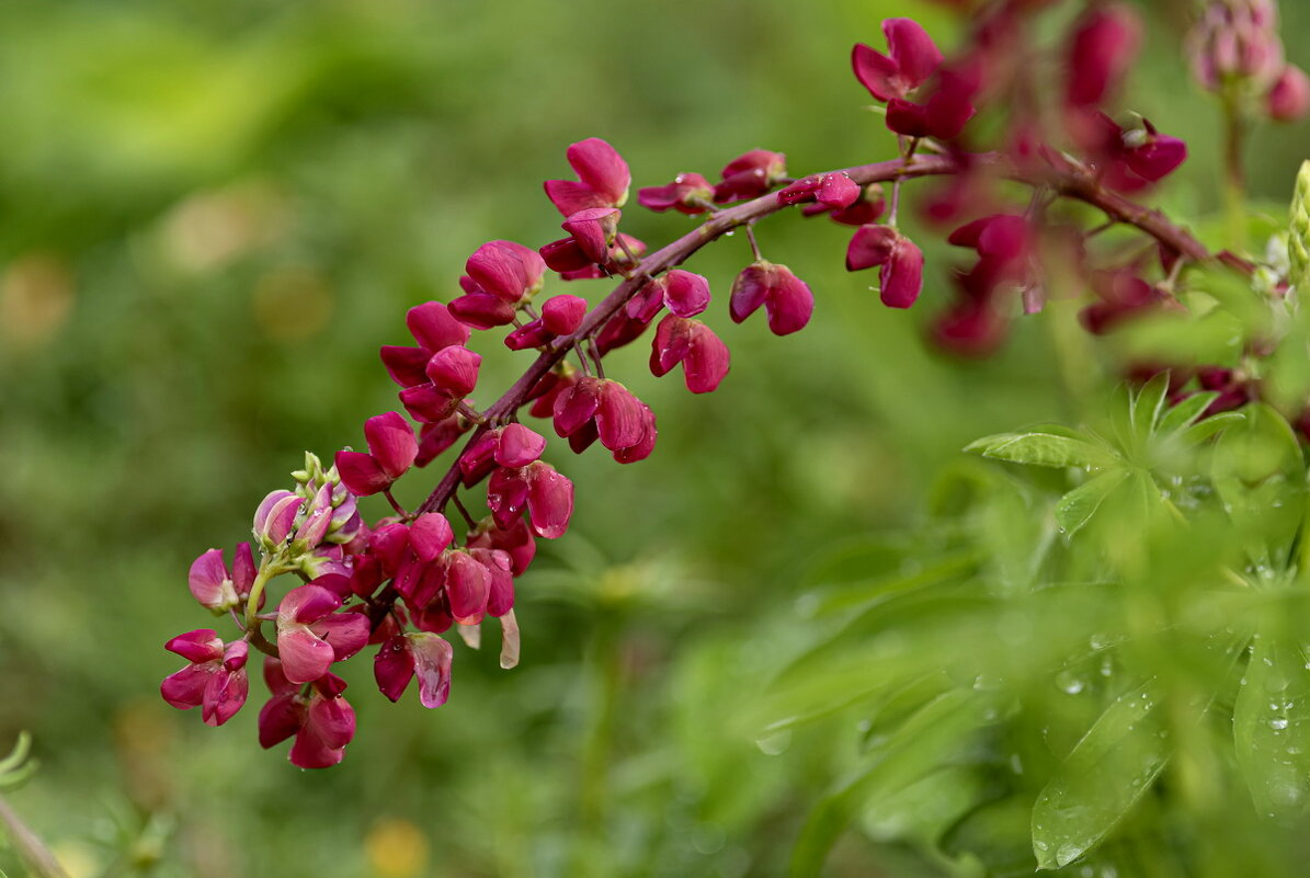 Про Осень... - Николай Саржанов Про Осень... - Николай Саржанов