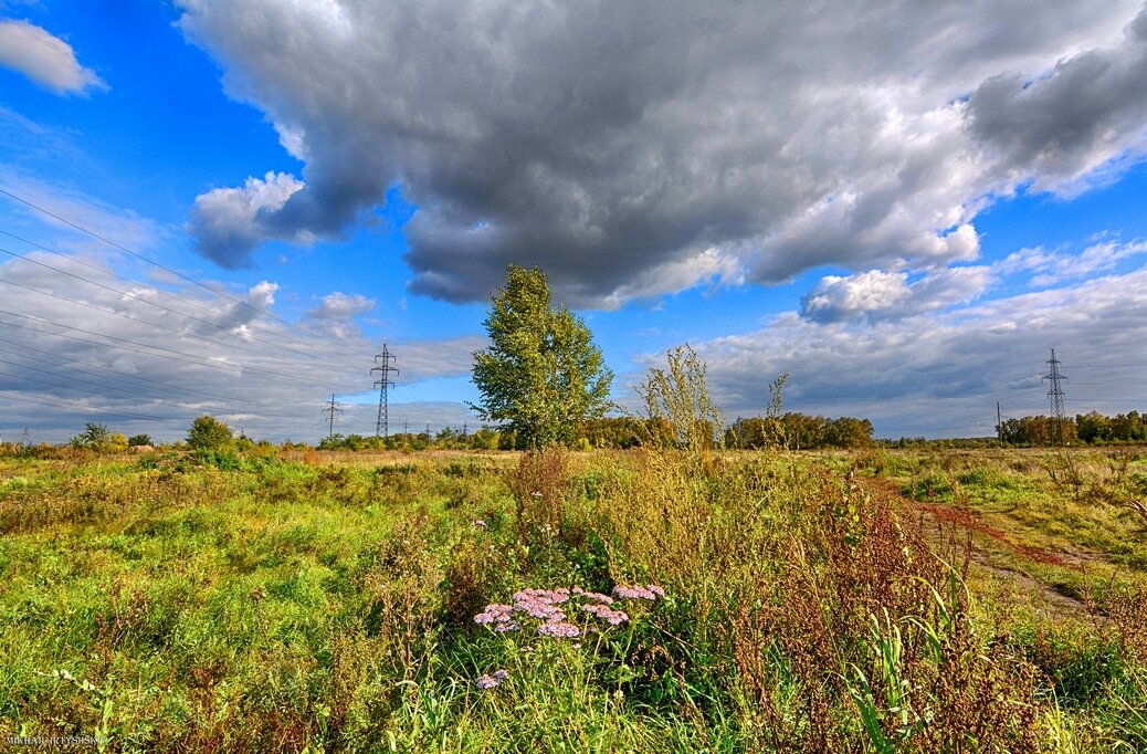 На просторах Сибири - Mikhail Irtyshskiy На просторах Сибири - Mikhail Irtyshskiy