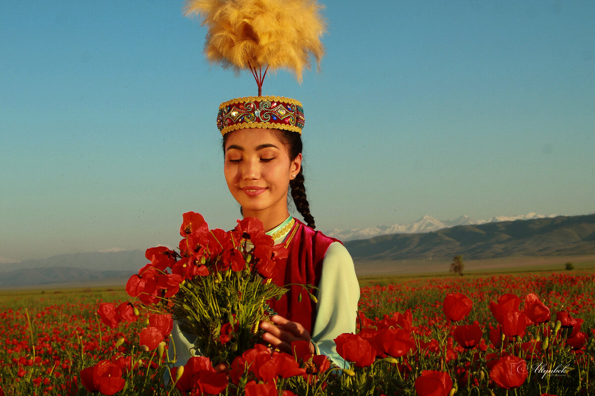 «Свет степи — казахская девушка» - Алтынбек Картабай 